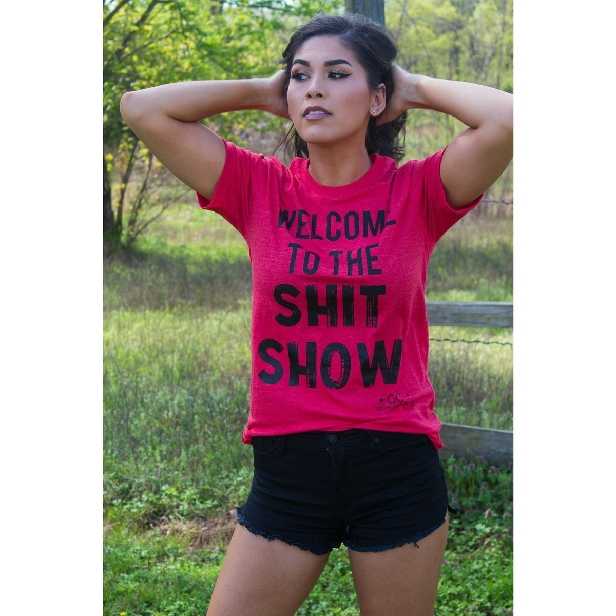 Welcome to the Shit Show tee
